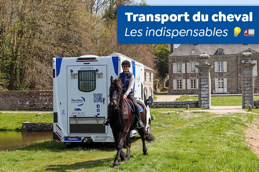 Transport du cheval : les indispensables pour voyager en toute sécurité