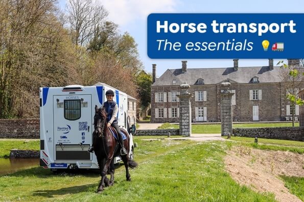 Horse Transport: The Essentials for a Safe Travel
